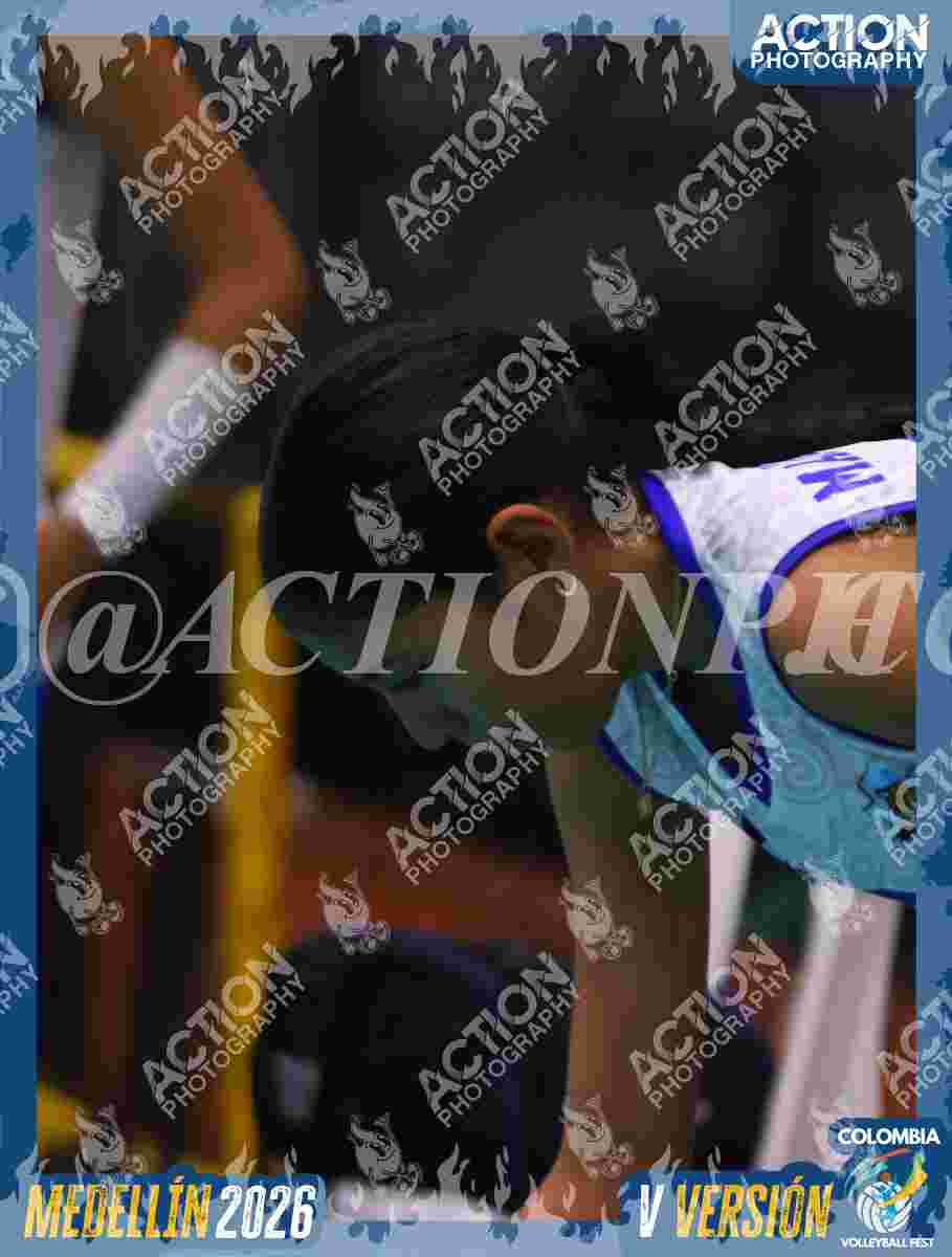 TIGRES JP Foto 4