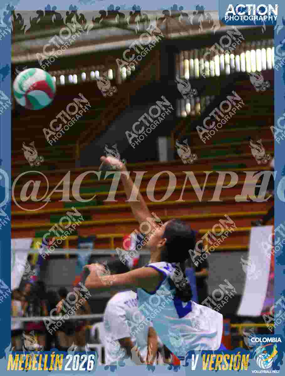 Preview de TIGRES JP