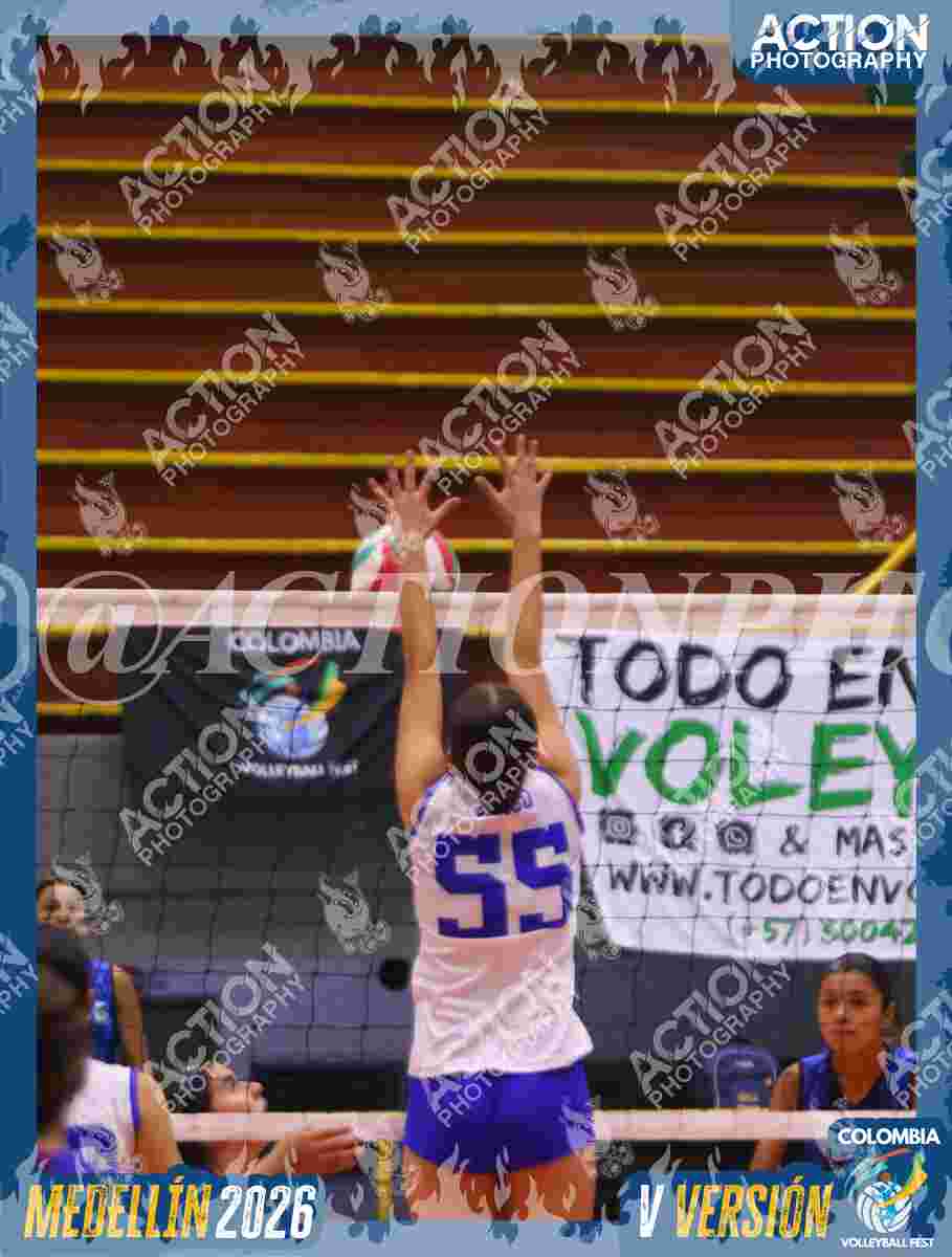 TIGRES JP Foto 4