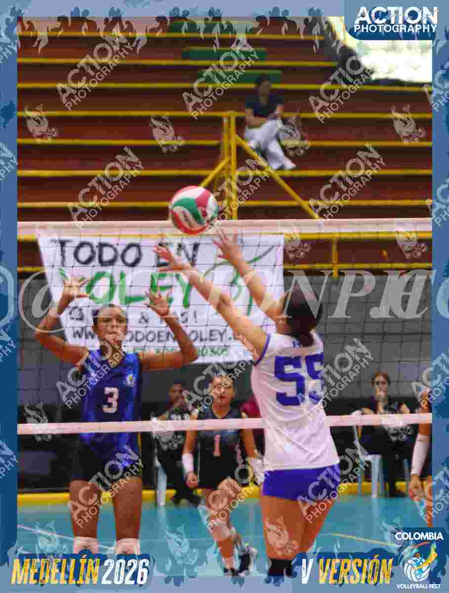 TIGRES JP Foto 1