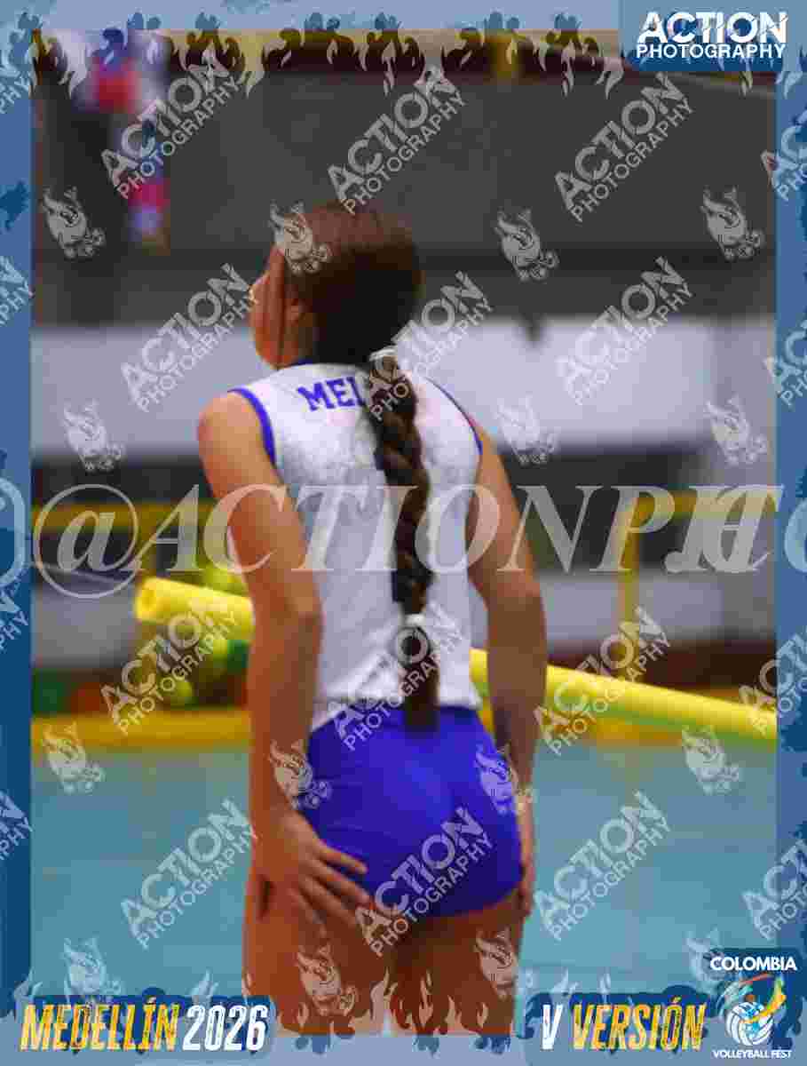 TIGRES JP Foto 1