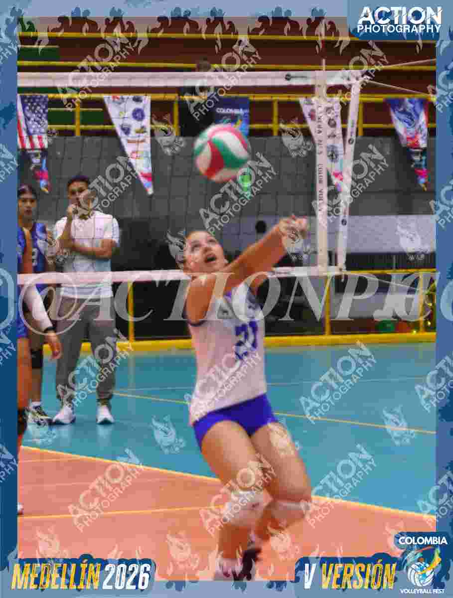 TIGRES JP Foto 4