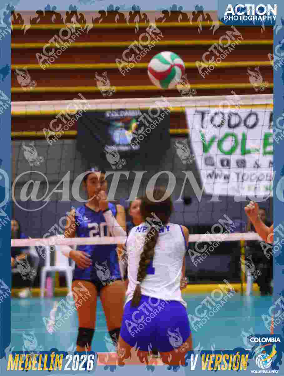 TIGRES JP Foto 4