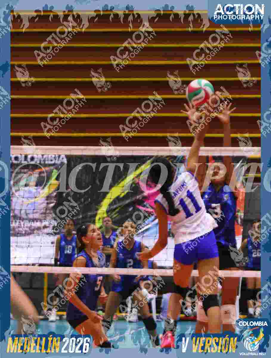 TIGRES JP Foto 13