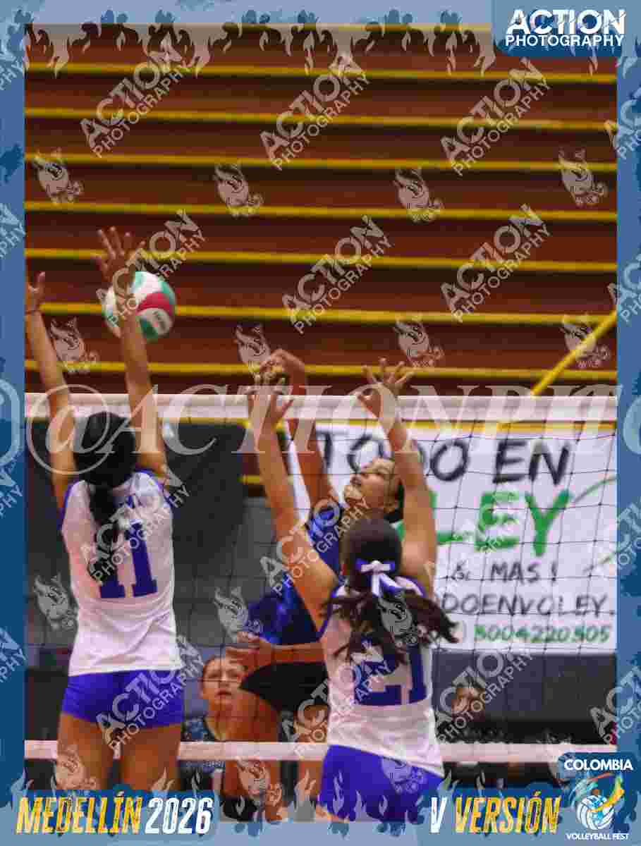 TIGRES JP Foto 13