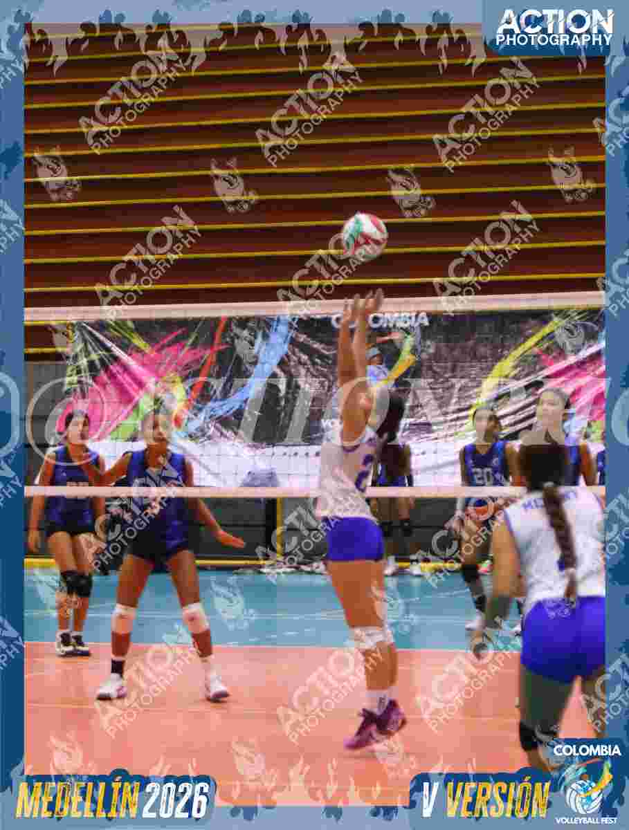 TIGRES JP Foto 13