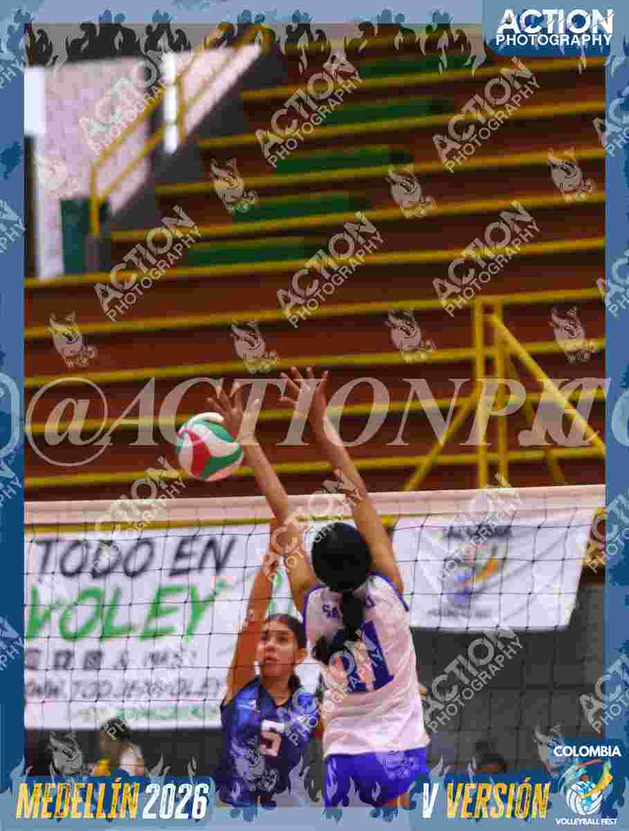 TIGRES JP Foto 13