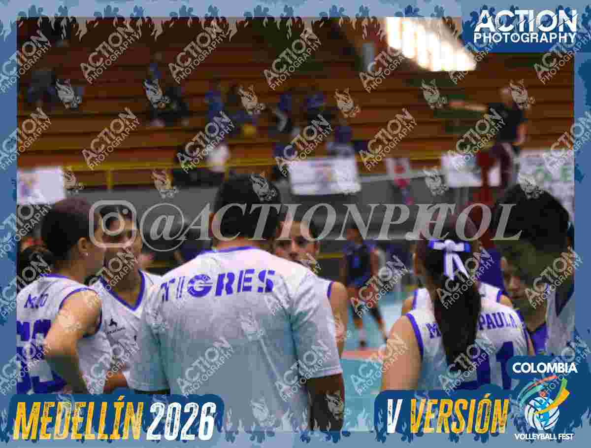 TIGRES JP Foto 13