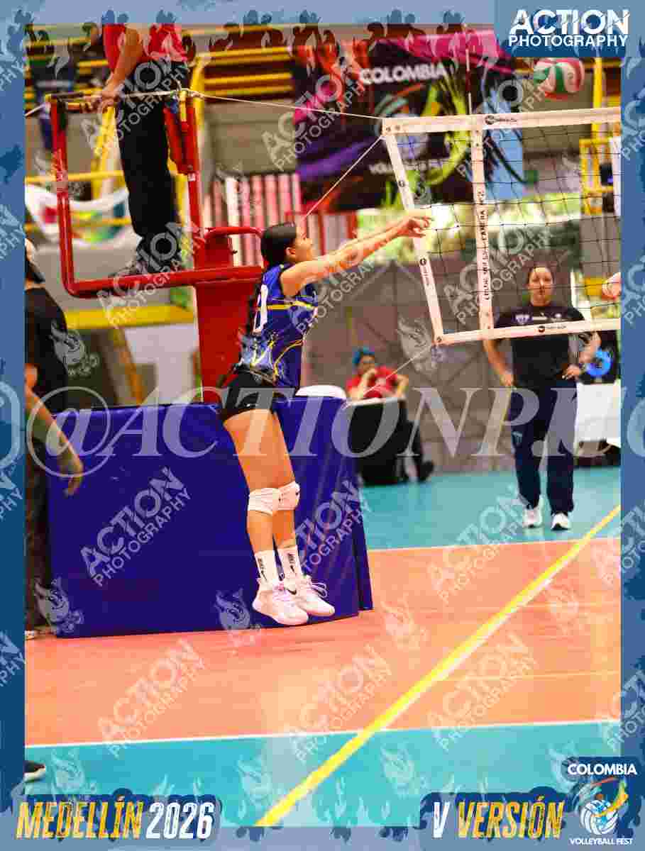 TIGRES S Foto 1