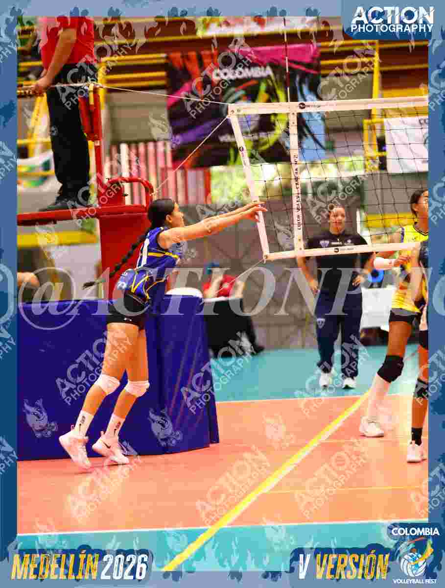 TIGRES S Foto 1
