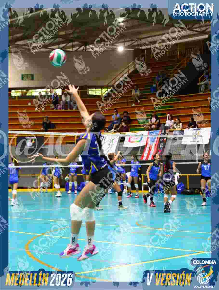 TIGRES S Foto 1