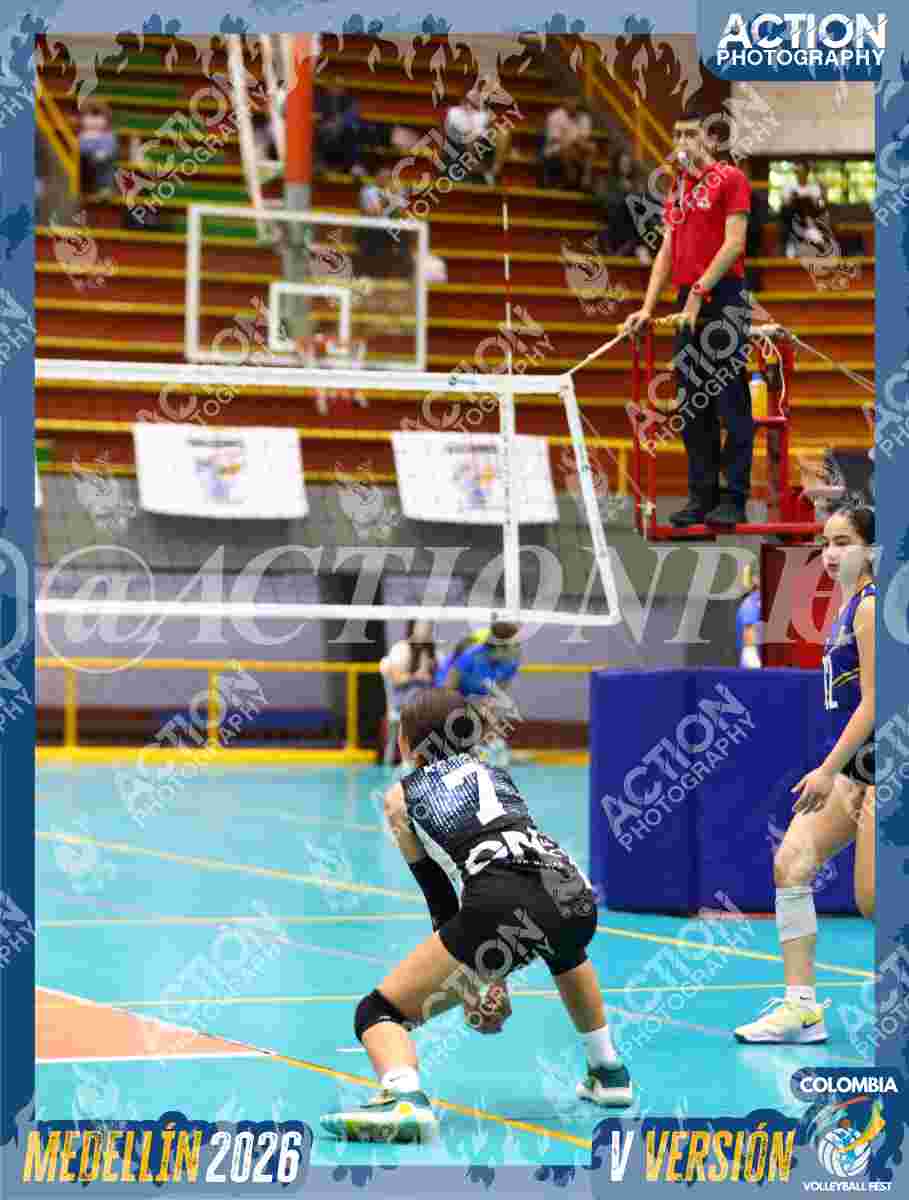 TIGRES S Foto 13