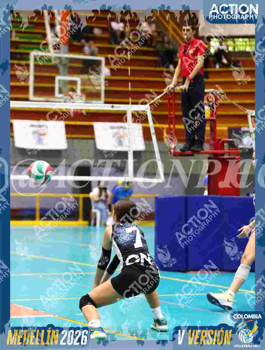 TIGRES S Foto 3