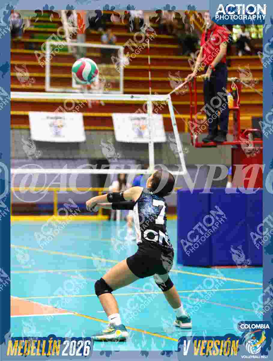 TIGRES S Foto 3