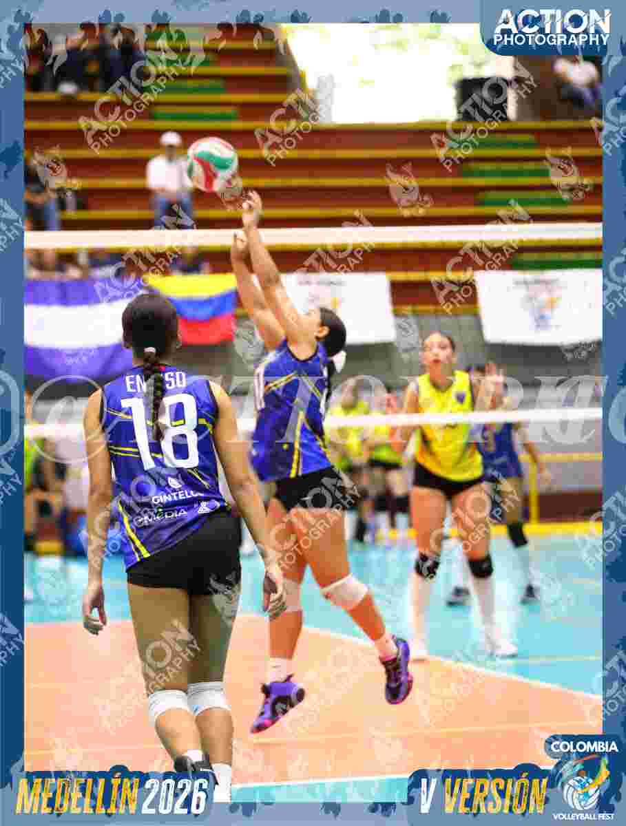 TIGRES S Foto 13