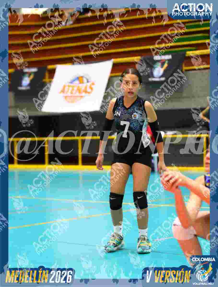 TIGRES S Foto 3