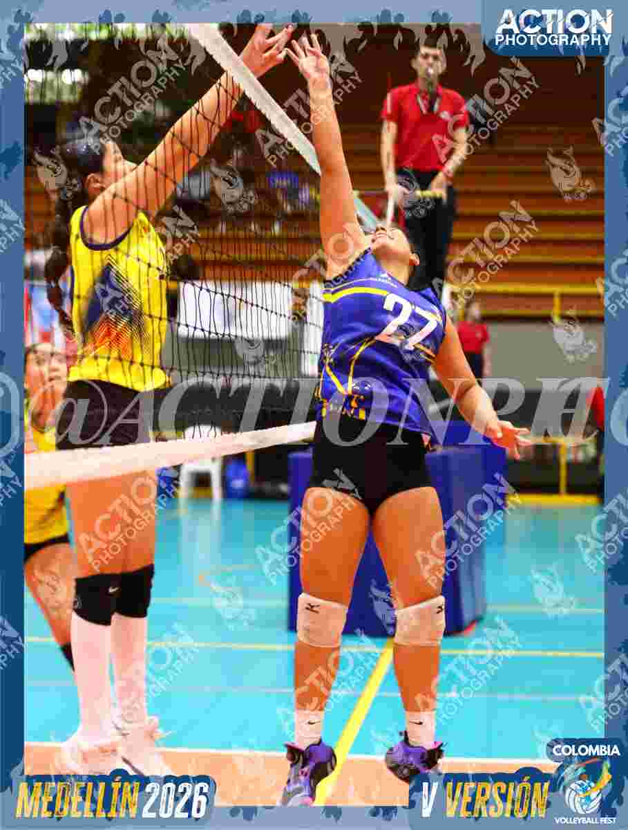 TIGRES S Foto 13