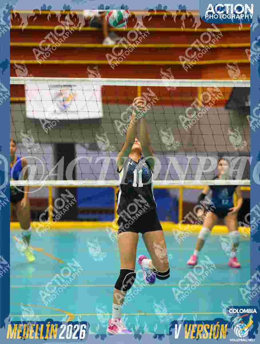 TIGRES S Foto 1