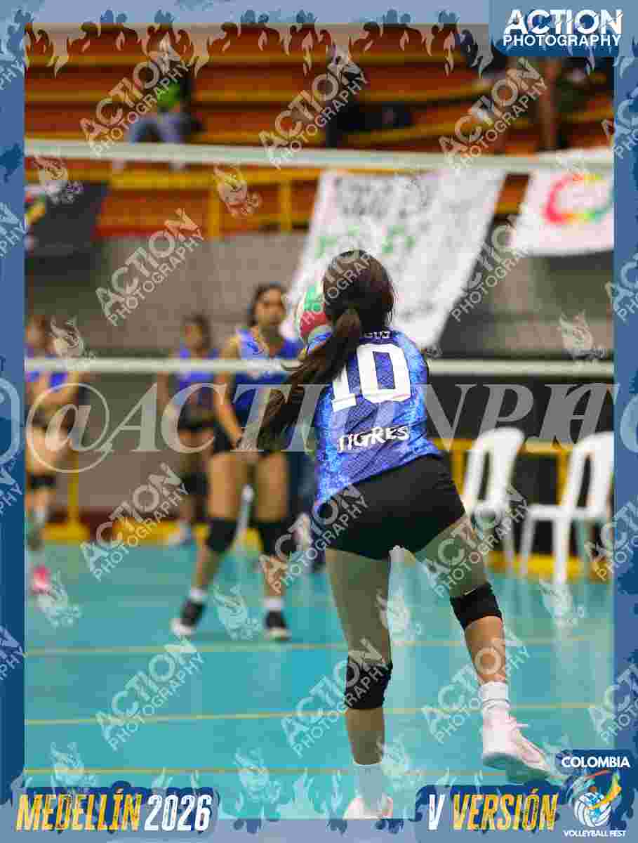 TIGRES S Foto 11