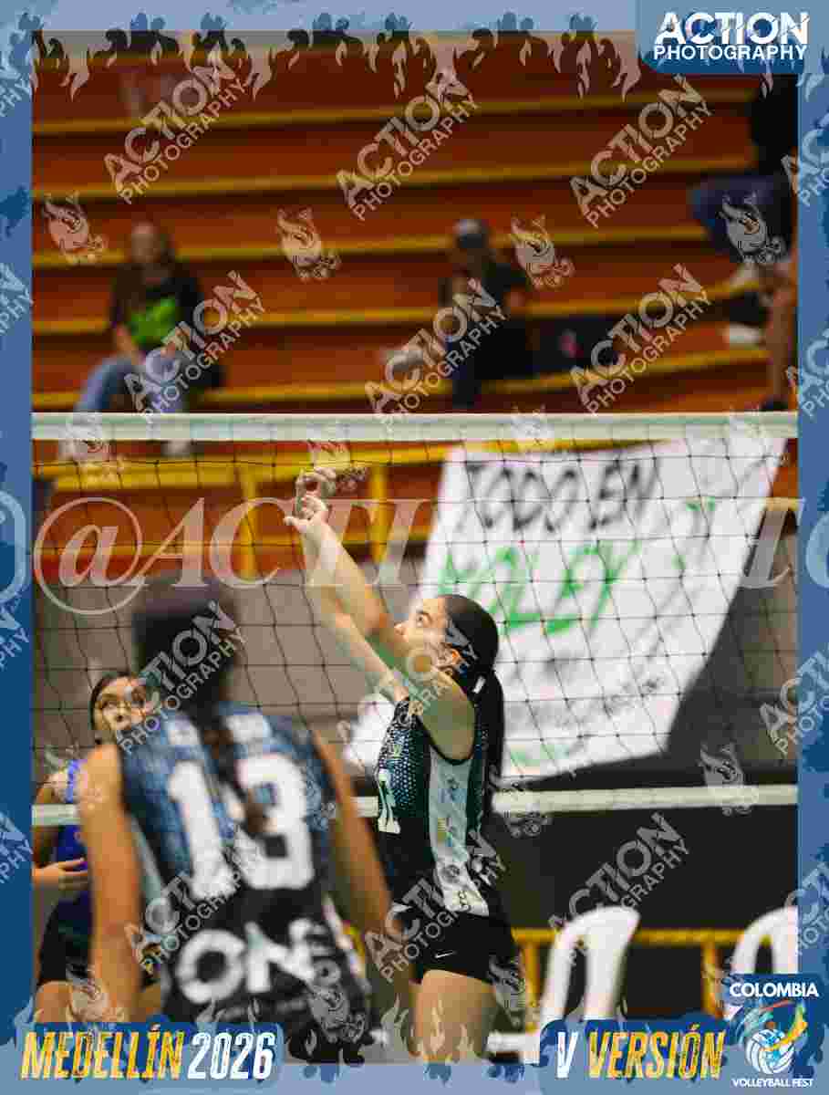 TIGRES S Foto 1