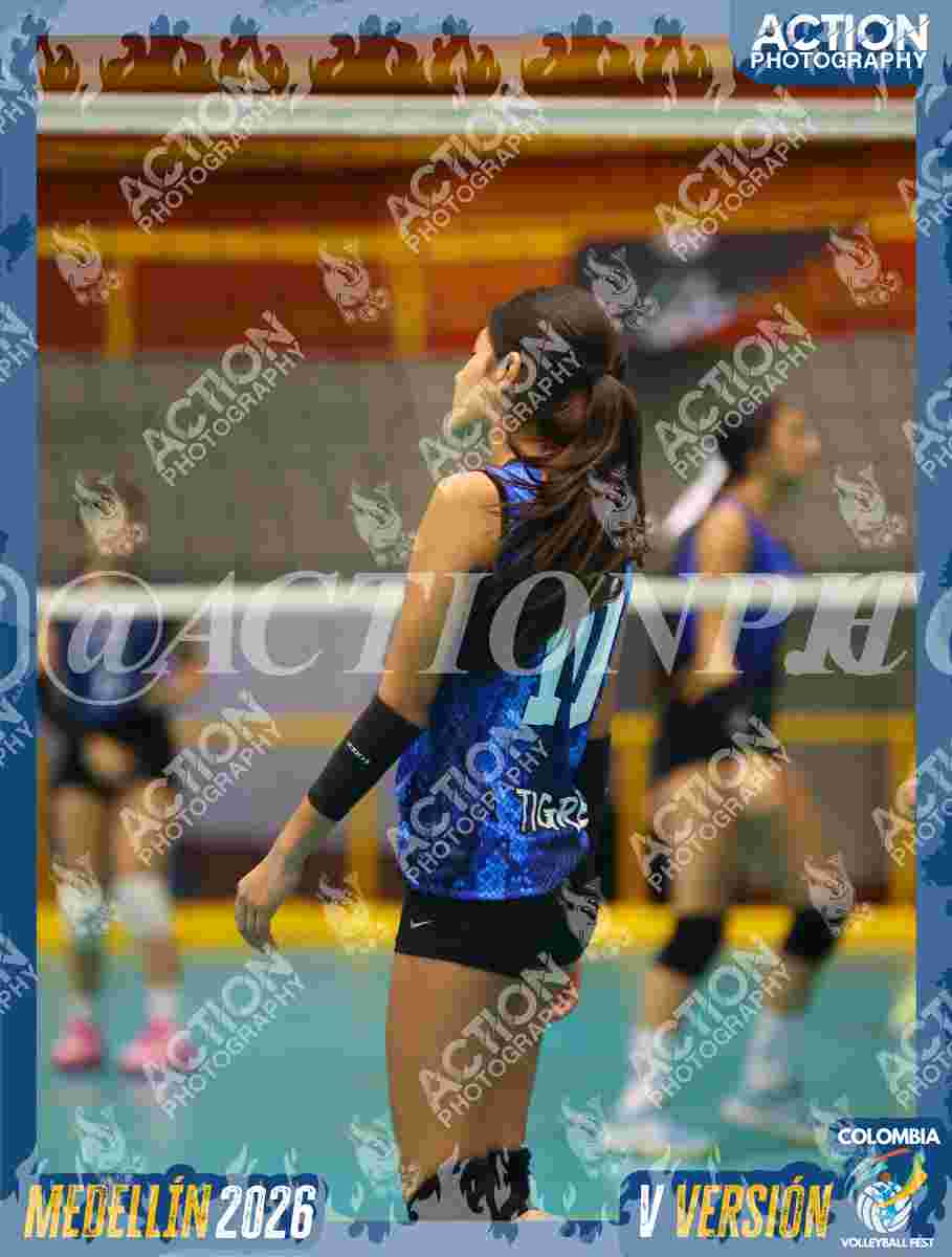 TIGRES S Foto 1