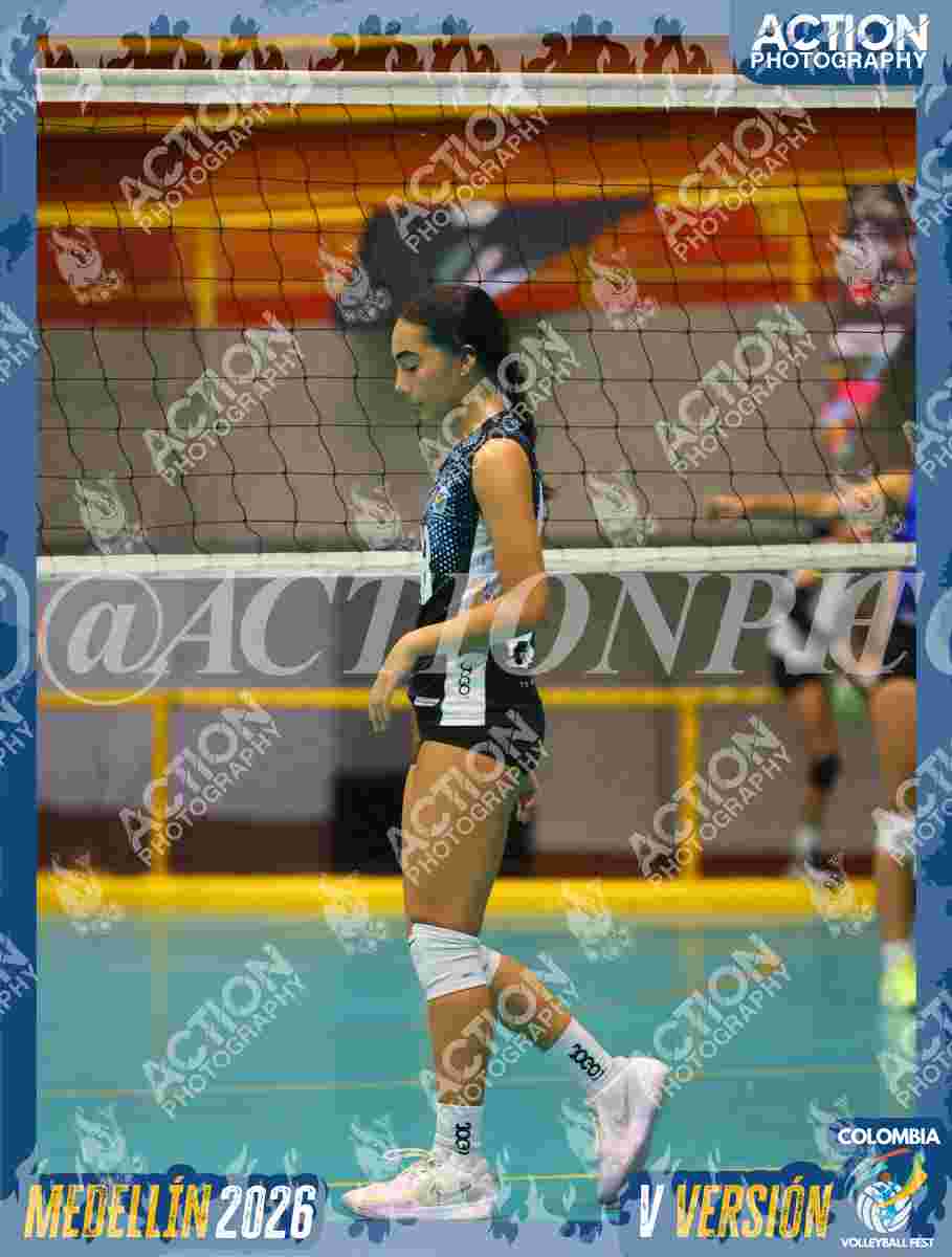 TIGRES S Foto 1