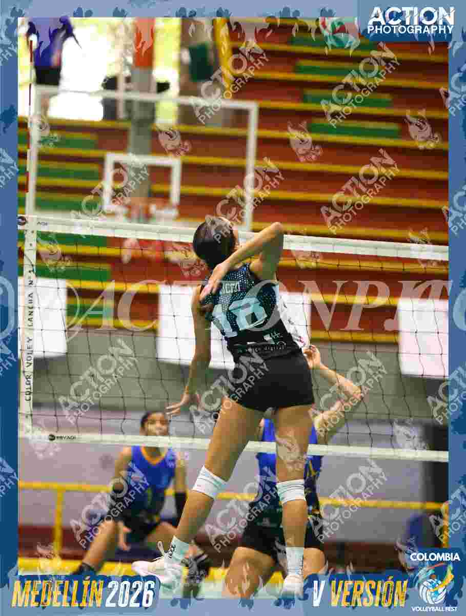 TIGRES S Foto 11
