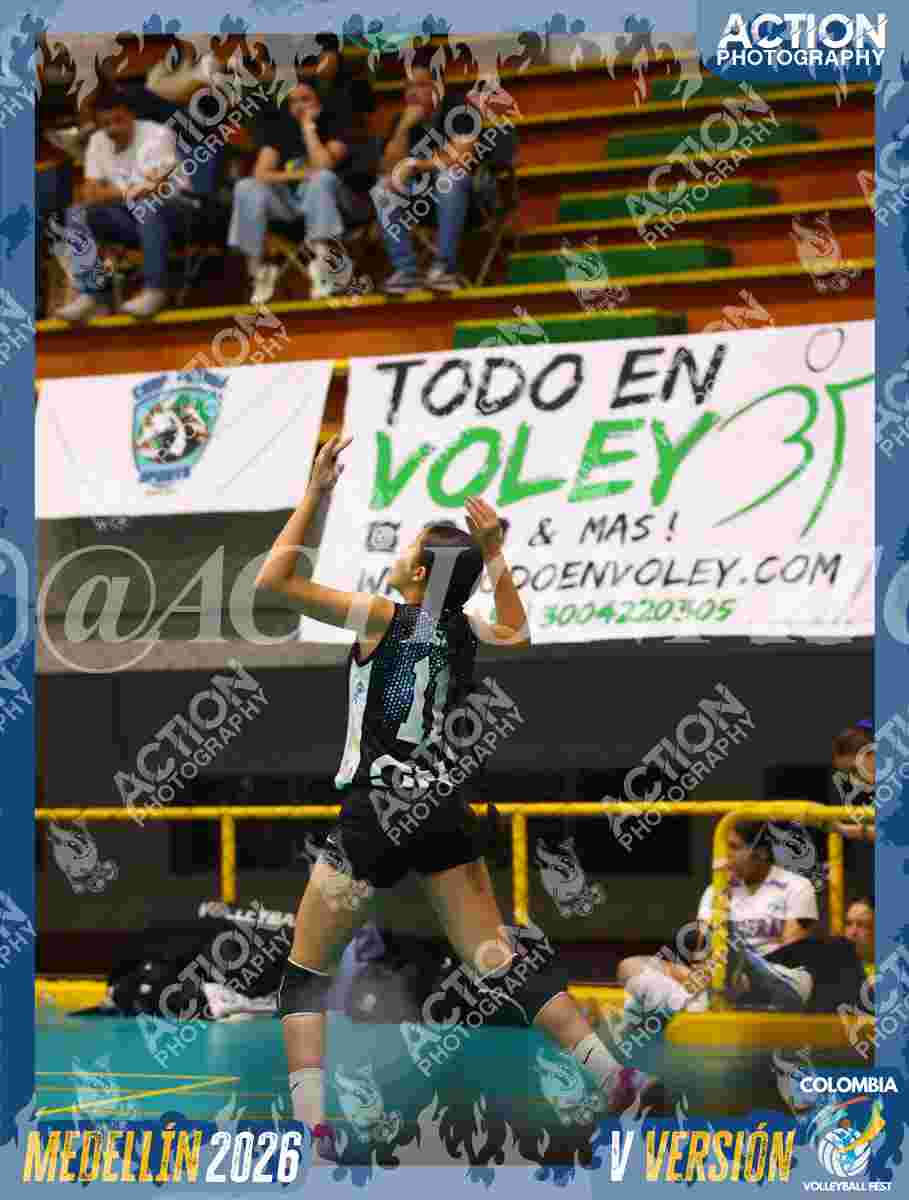 TIGRES S Foto 11