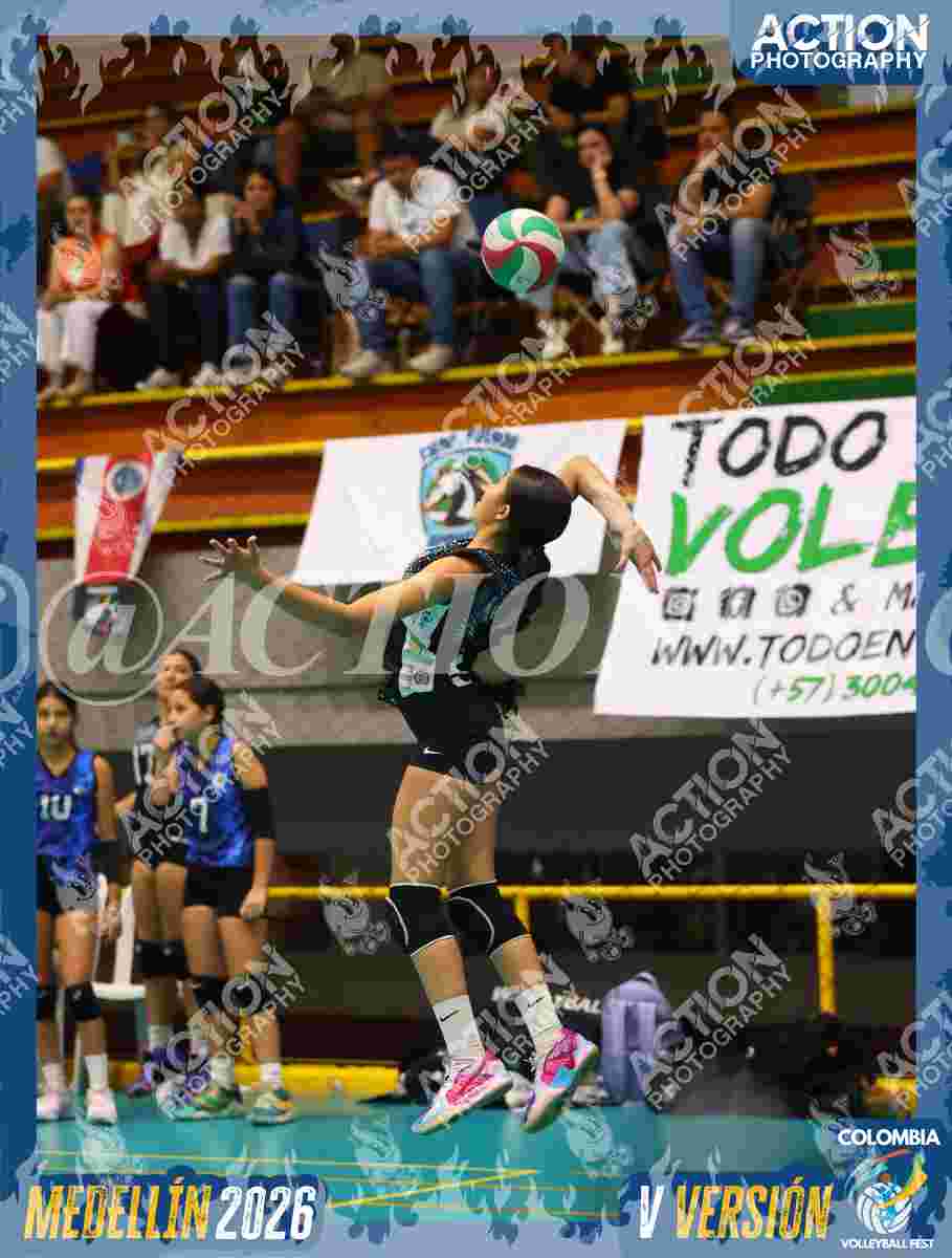 TIGRES S Foto 11
