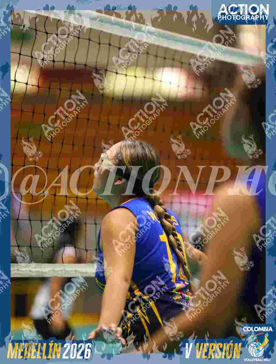 WOLVES Foto 1
