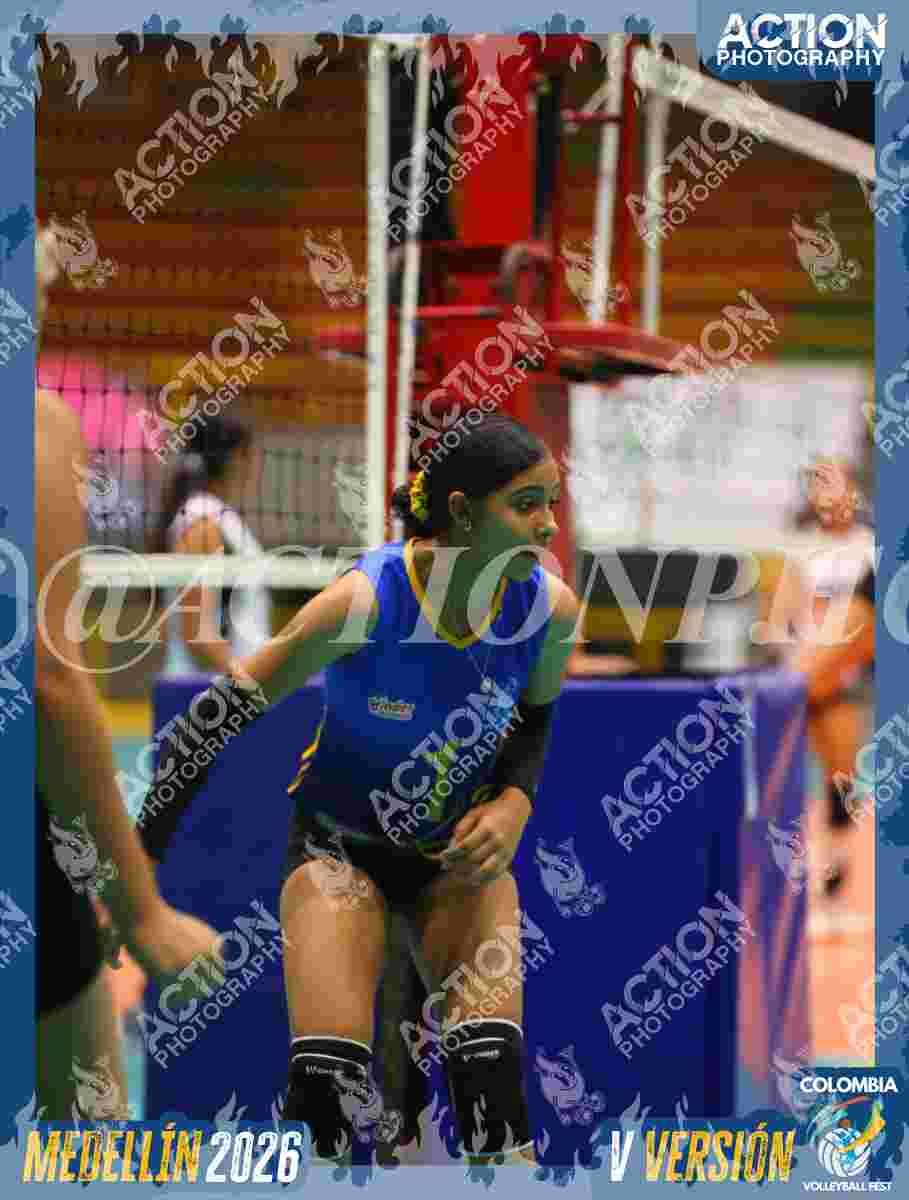 WOLVES Foto 11