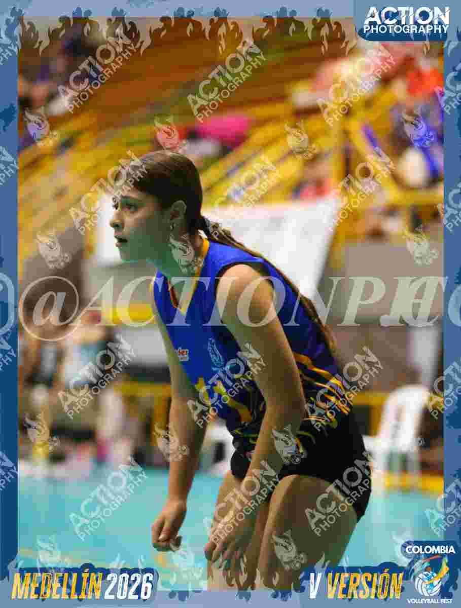 WOLVES Foto 1