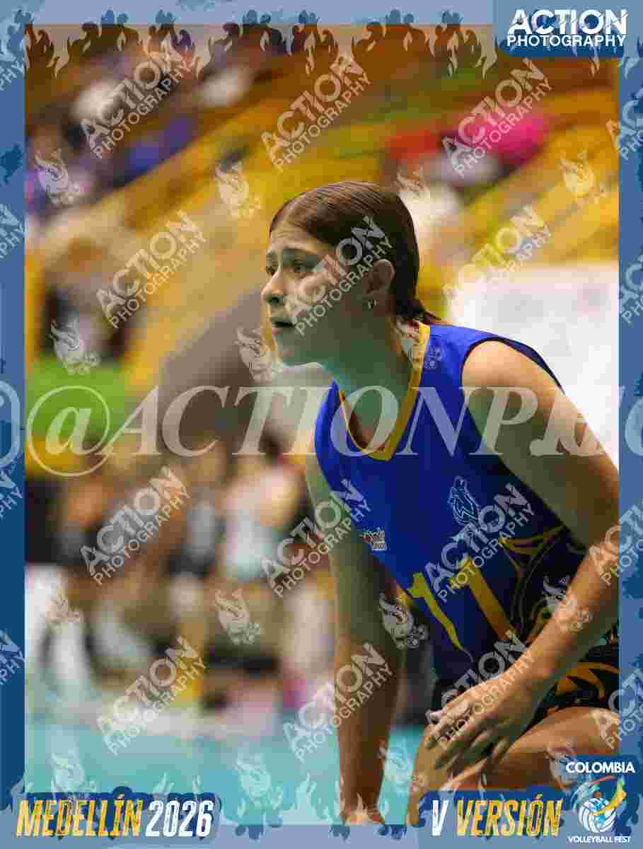 WOLVES Foto 1