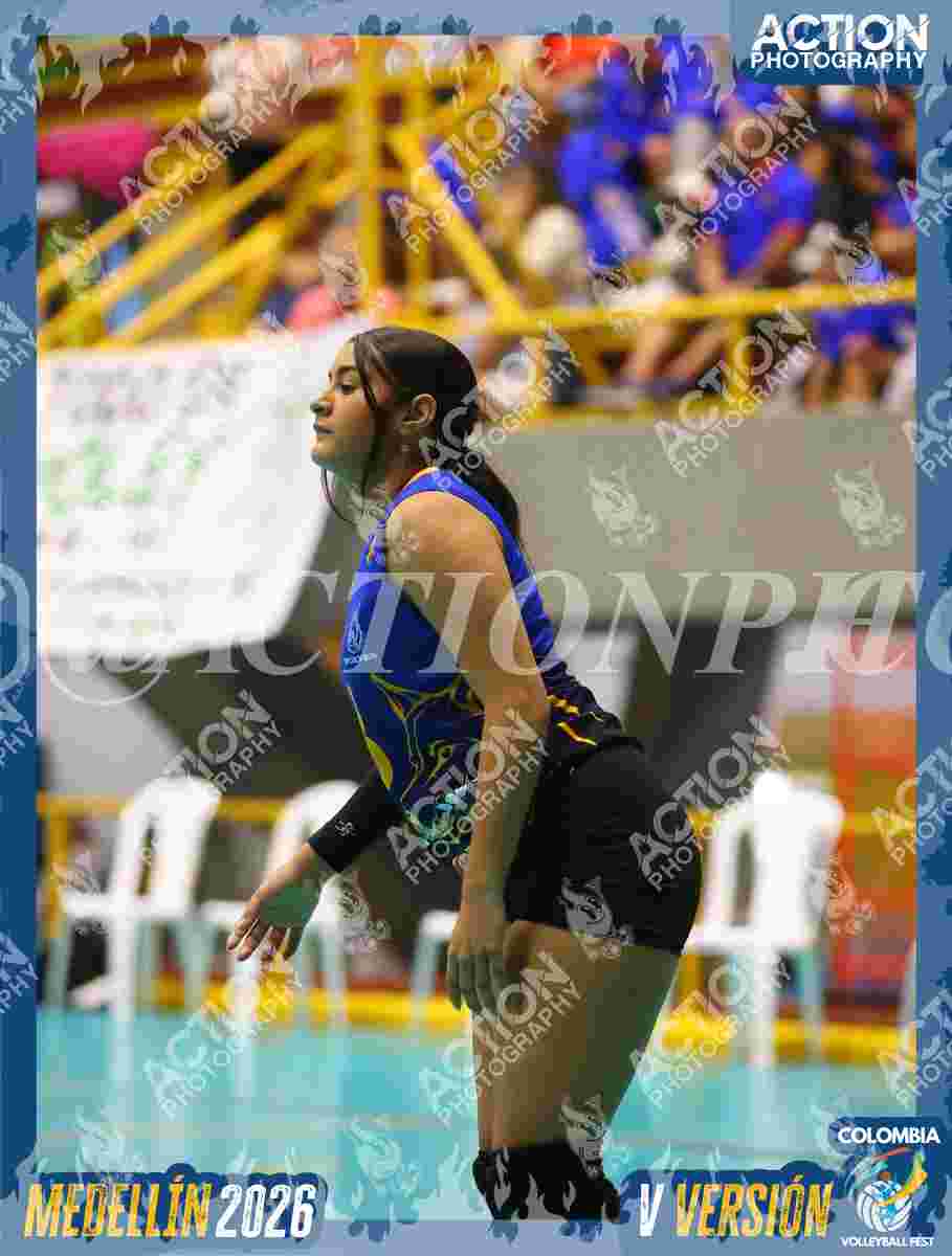 WOLVES Foto 1