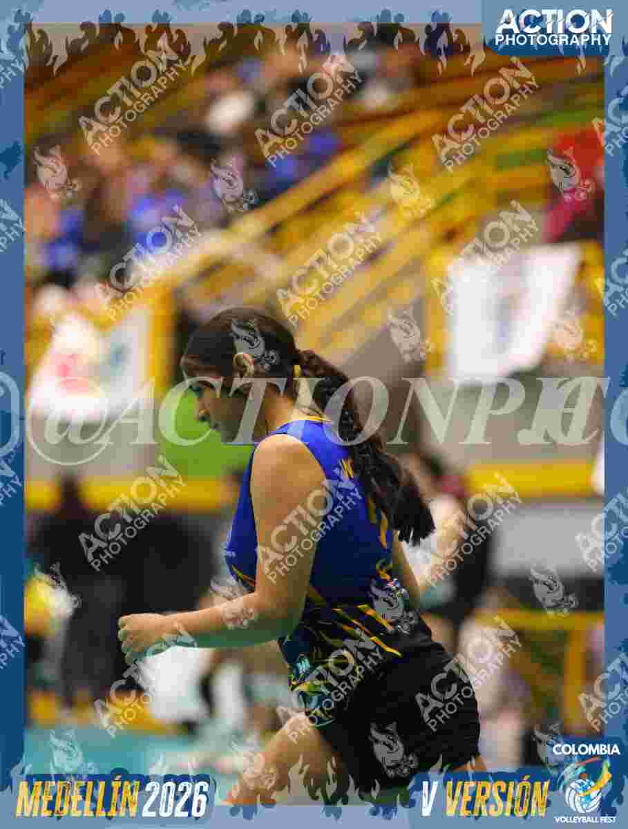 WOLVES Foto 1