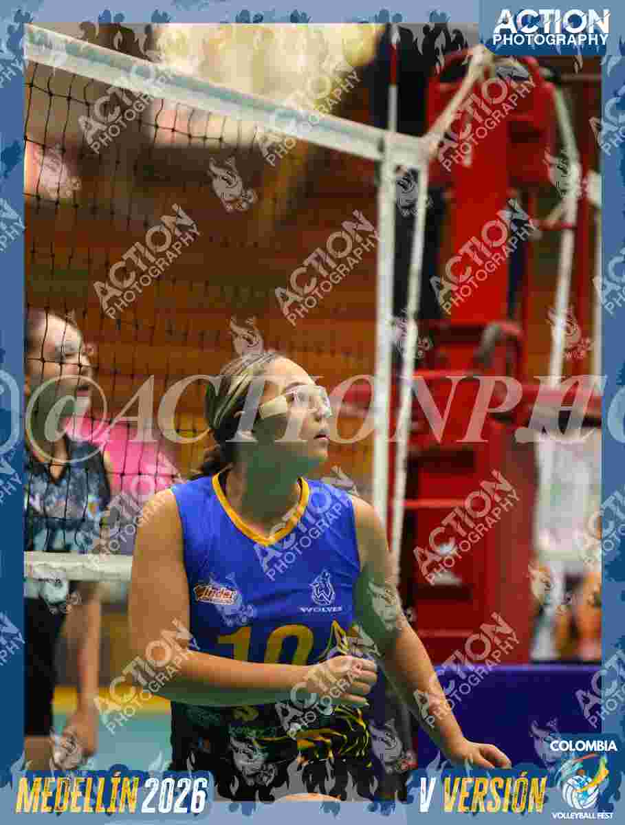 WOLVES Foto 13