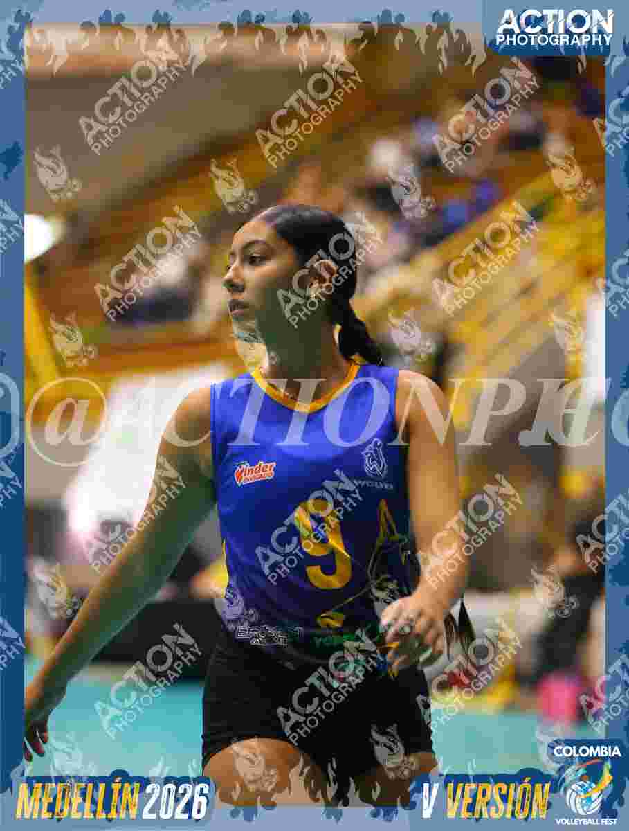 WOLVES Foto 13