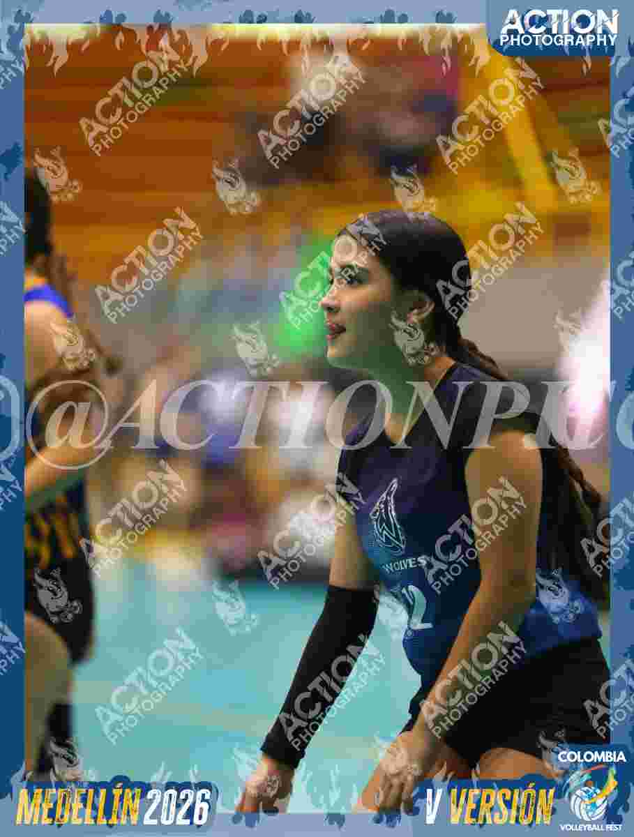 WOLVES Foto 13