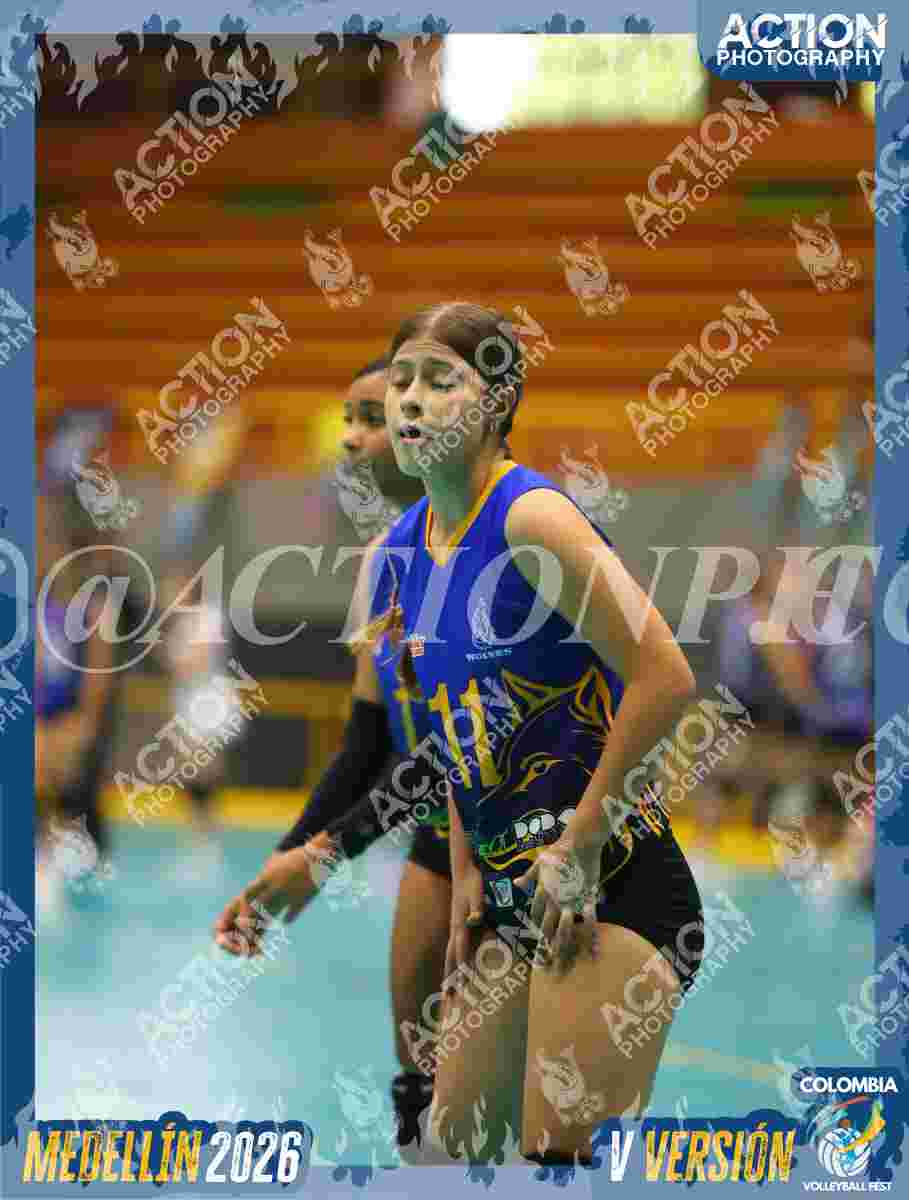 WOLVES Foto 13