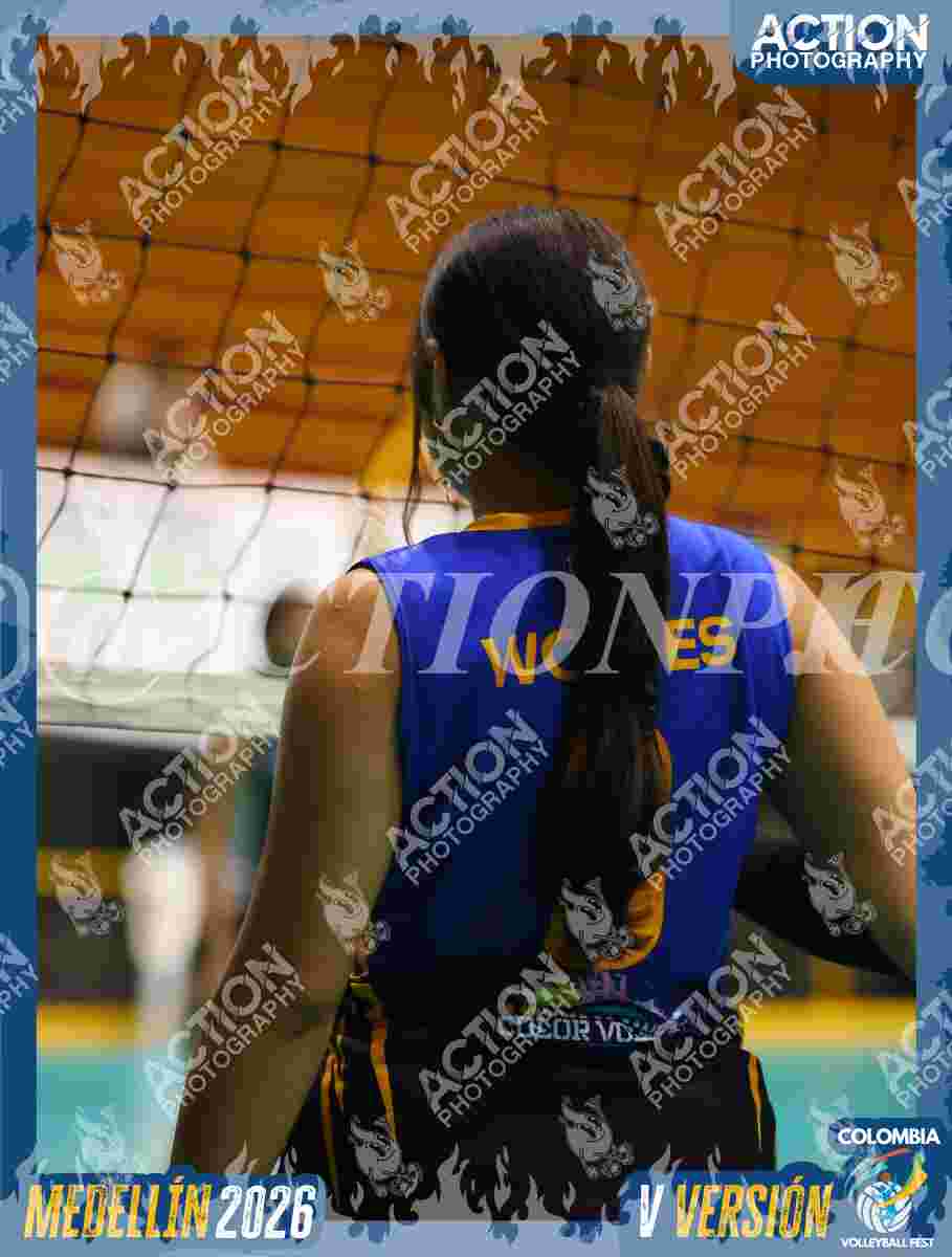WOLVES Foto 13