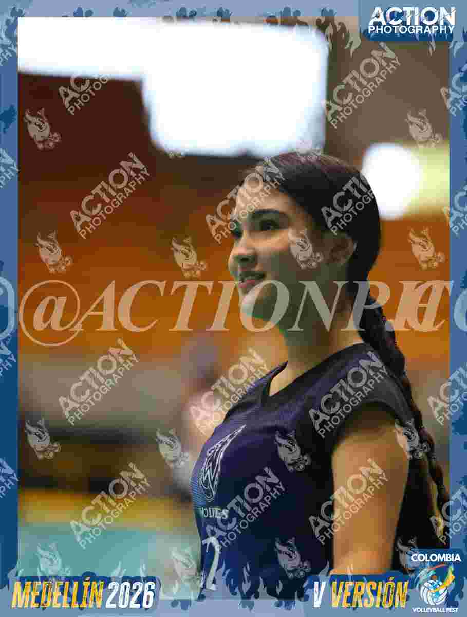 WOLVES Foto 13