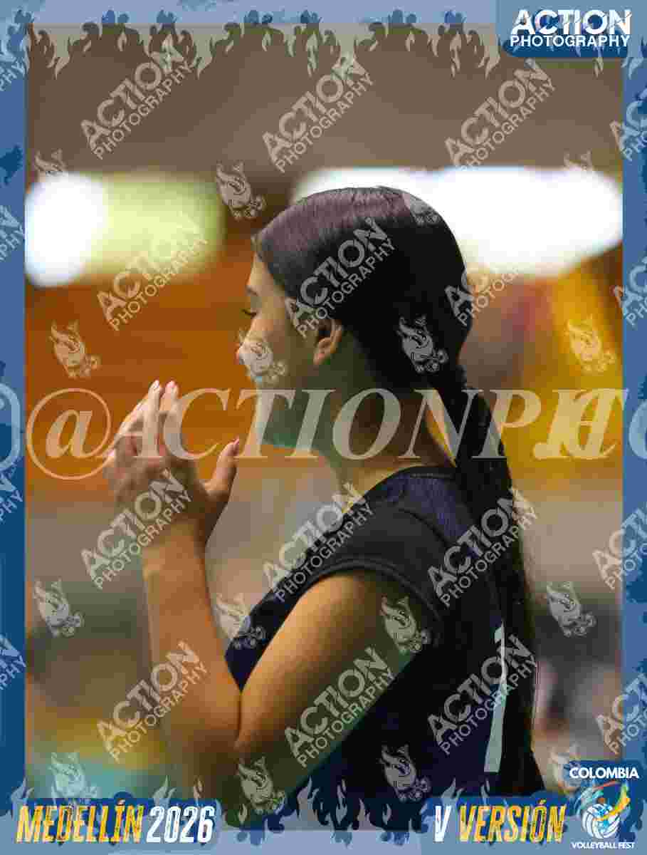 WOLVES Foto 13