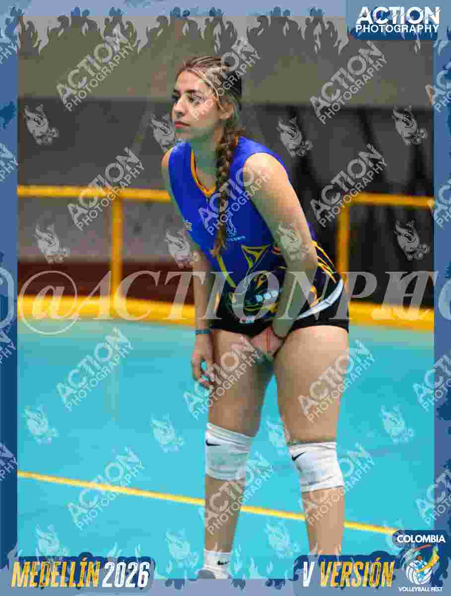 WOLVES Foto 1