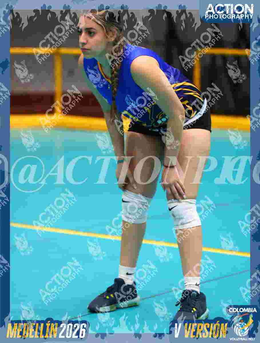 WOLVES Foto 1