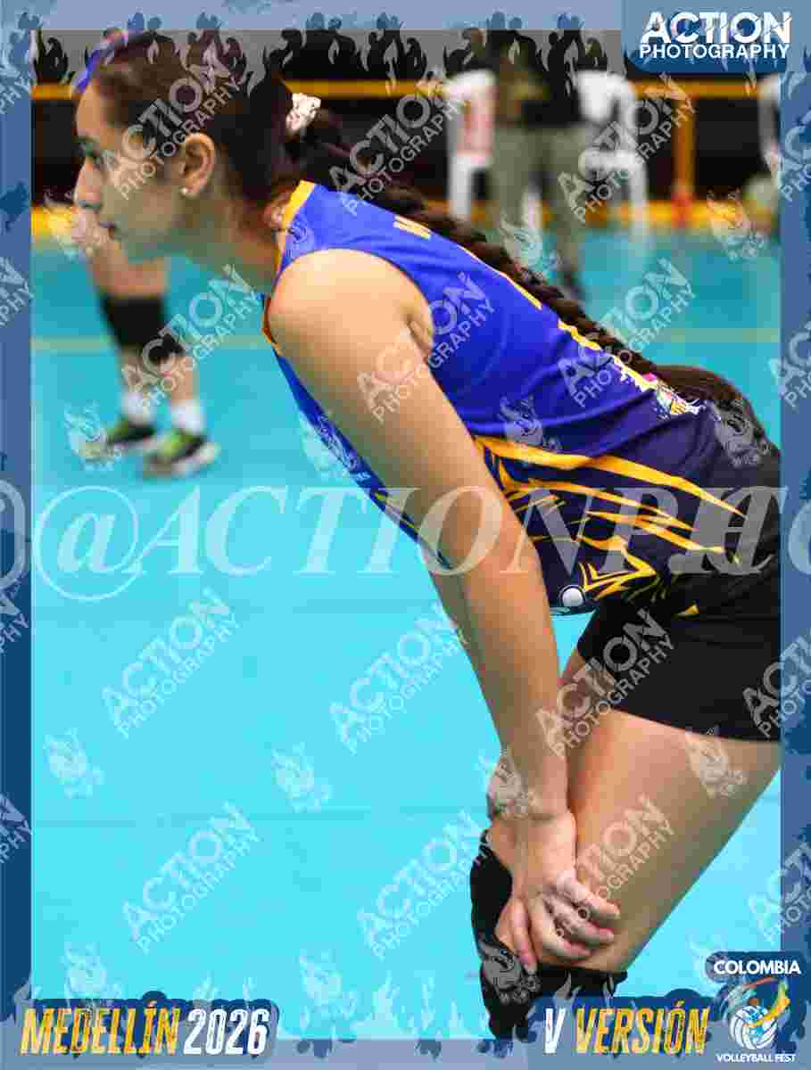 WOLVES Foto 11