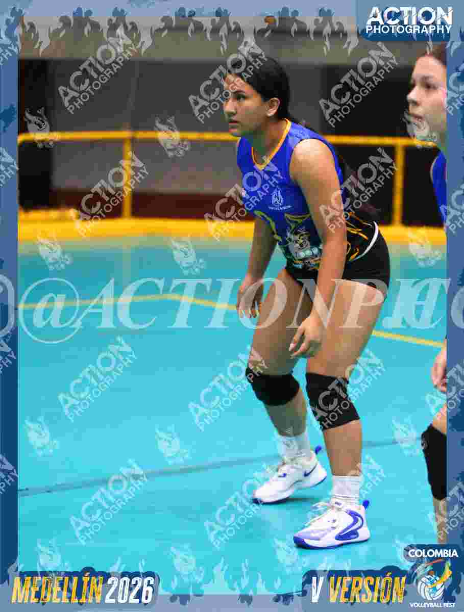 WOLVES Foto 11
