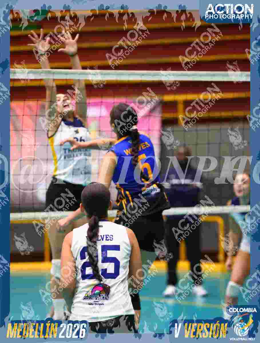 WOLVES Foto 11