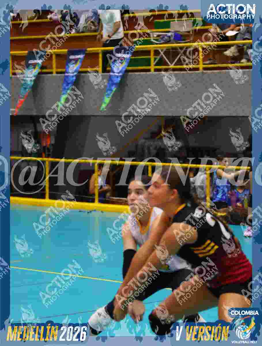 FALCON  Foto 1