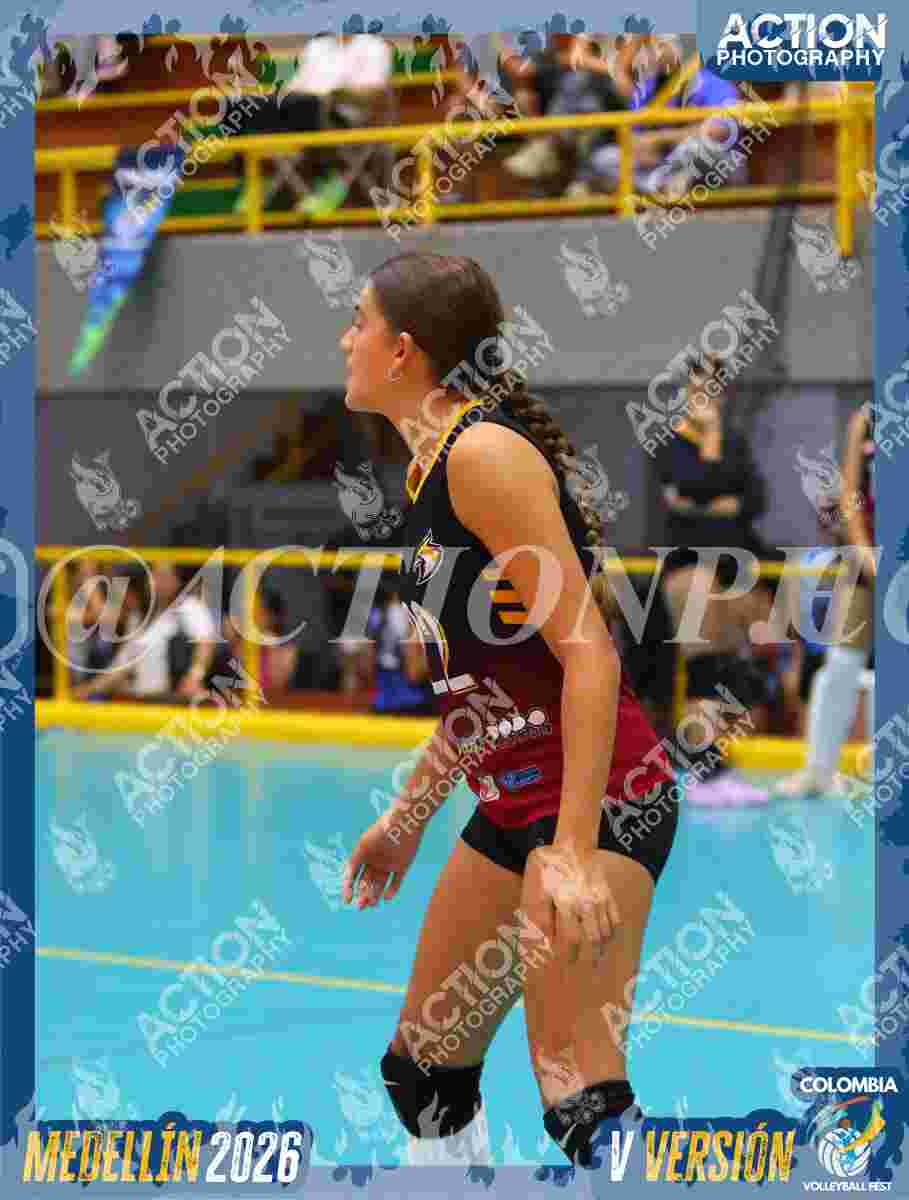 FALCON  Foto 8