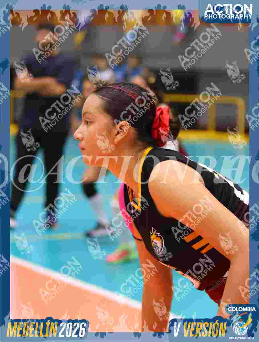FALCON  Foto 8